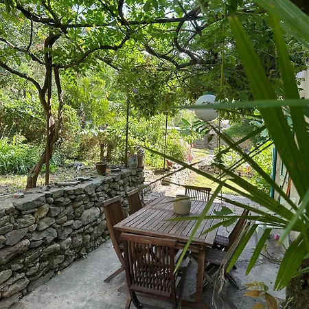 Hacienda Shaktipat Bed & Breakfast *